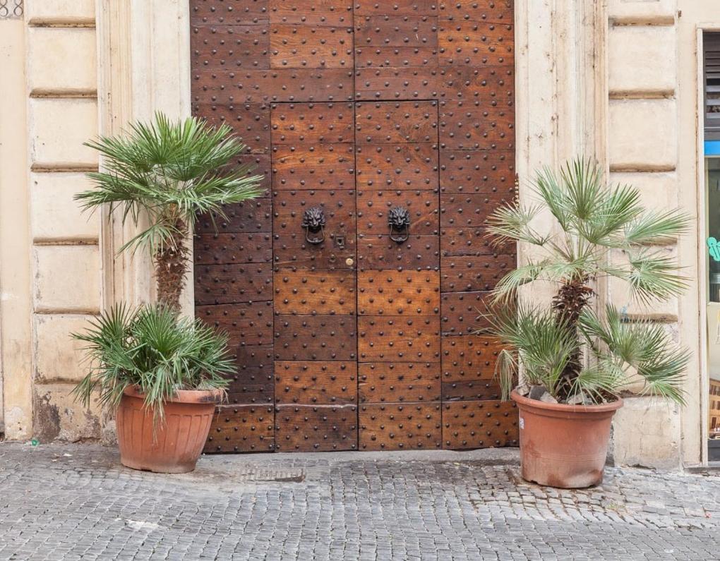 فيلا Boutique Domus Navona Librari روما المظهر الخارجي الصورة